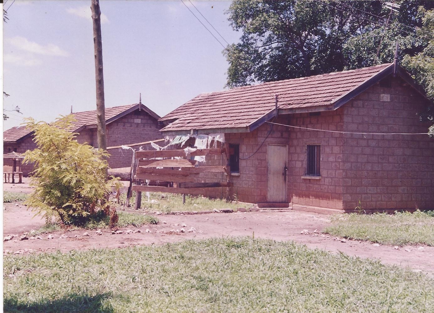 KAMBI YA KONGWA | DODOMA